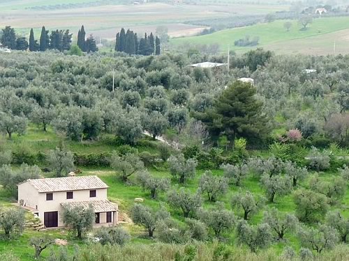 capodanno in maremma foto